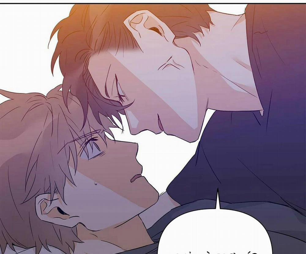 Guide Cấp B 28 trang 10