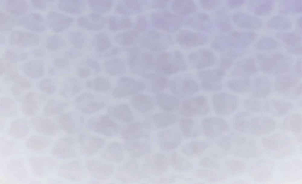 Guide Cấp B 28 trang 111