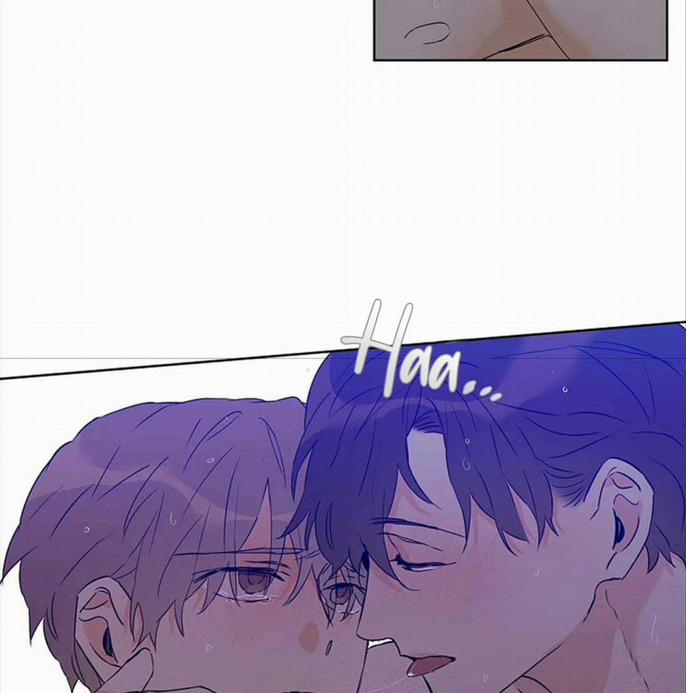 Guide Cấp B 29 trang 11