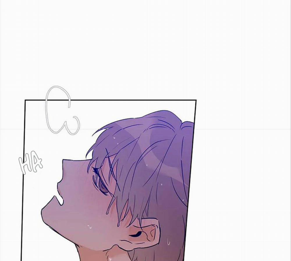 Guide Cấp B 29 trang 20