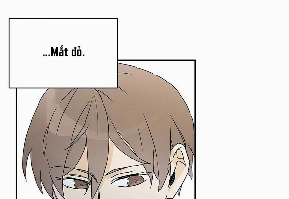 Guide Cấp B 4 trang 25