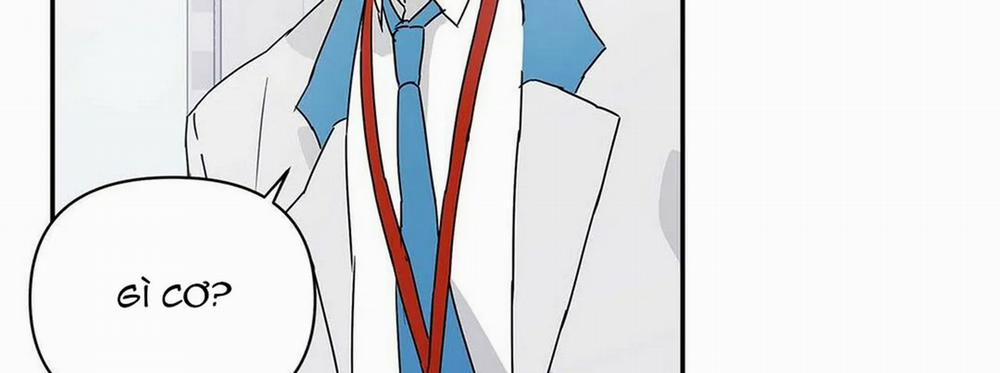 Guide Cấp B 4 trang 31