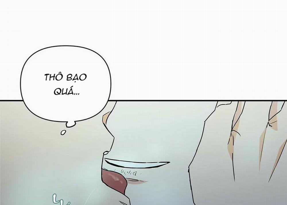 Guide Cấp B 5 trang 101