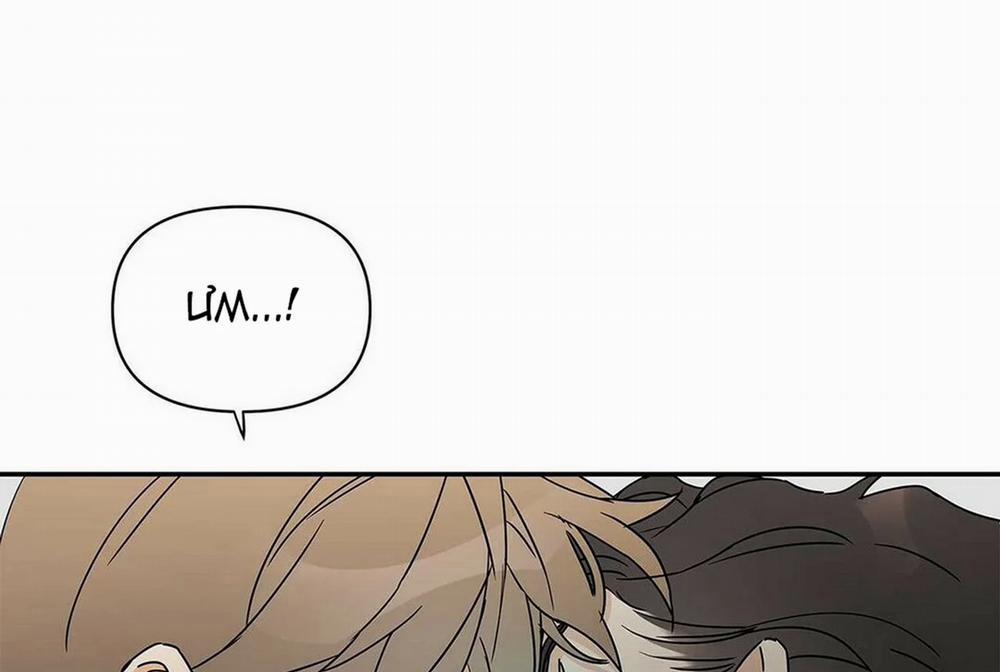 Guide Cấp B 5 trang 115