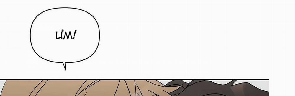 Guide Cấp B 5 trang 117