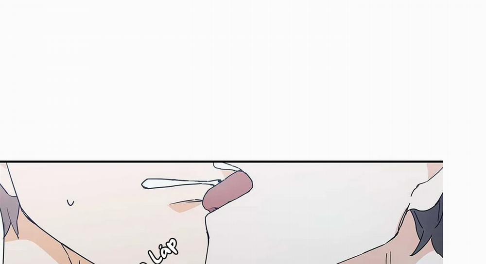 Guide Cấp B 5 trang 141