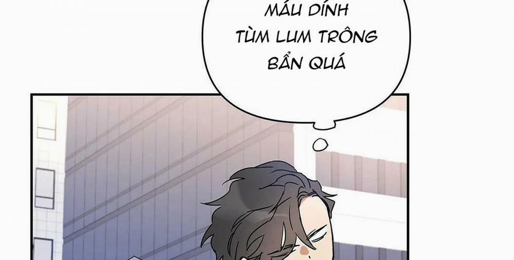 Guide Cấp B 6 trang 133