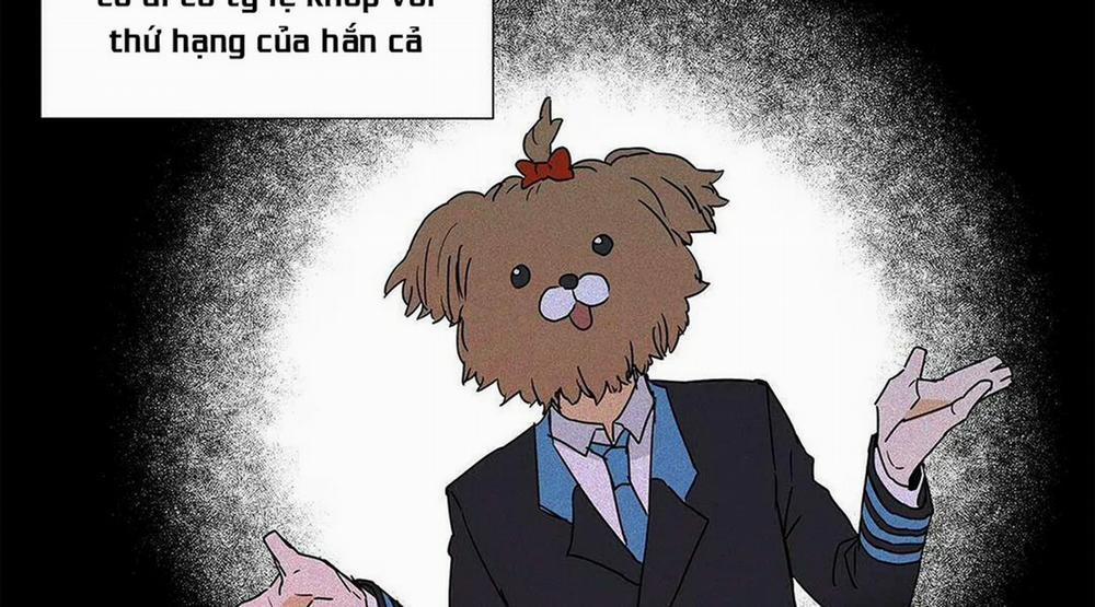 Guide Cấp B 6 trang 14