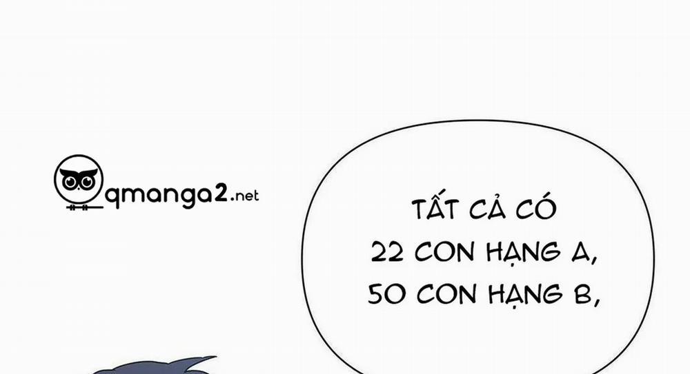 Guide Cấp B 6 trang 41