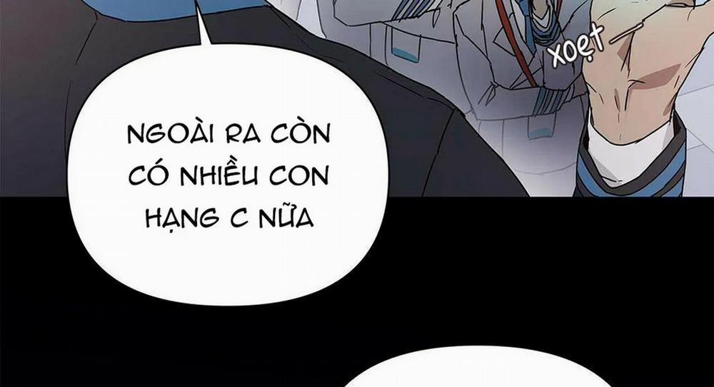 Guide Cấp B 6 trang 43