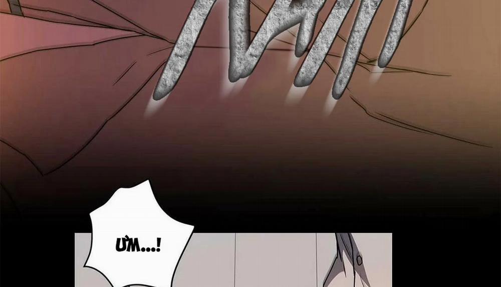 Guide Cấp B 6 trang 91