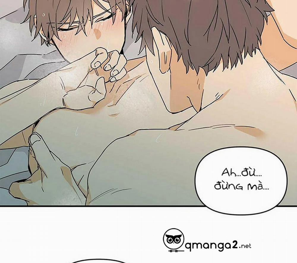 Guide Cấp B 7 trang 146