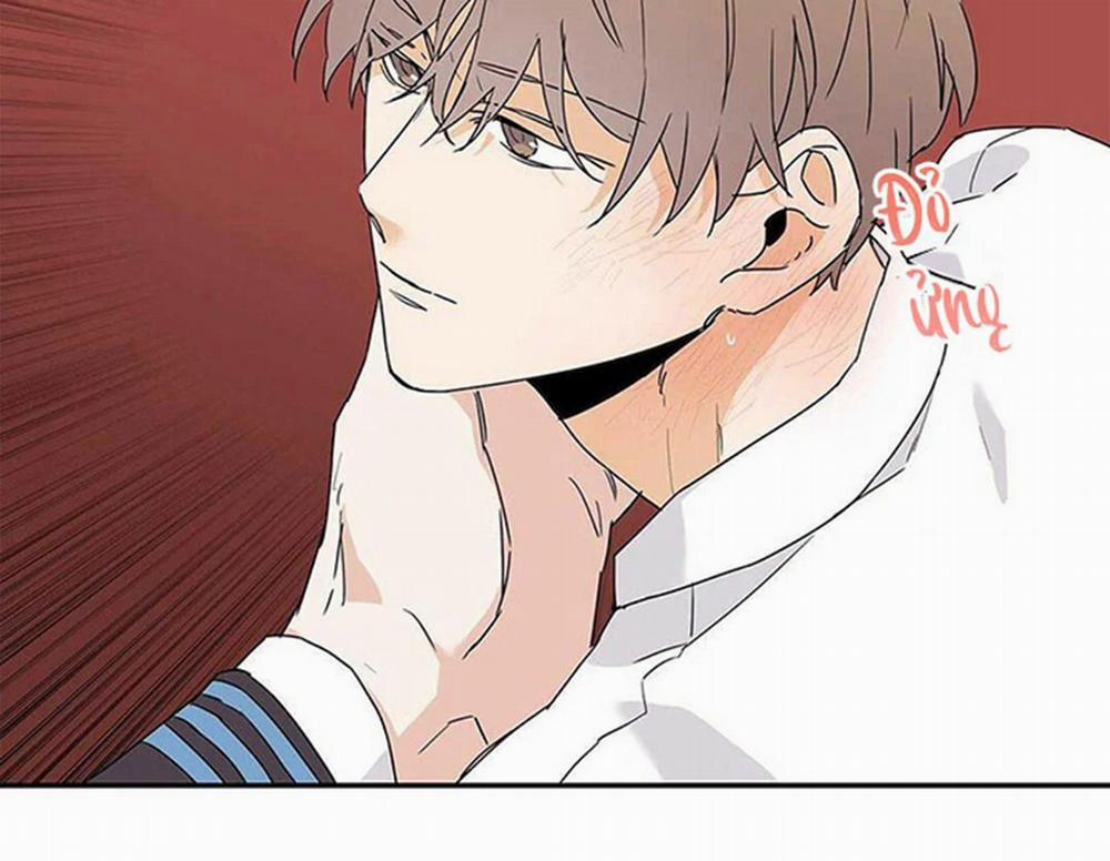 Guide Cấp B 8 trang 100