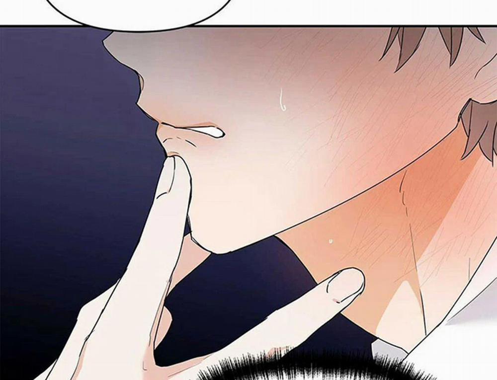 Guide Cấp B 8 trang 102