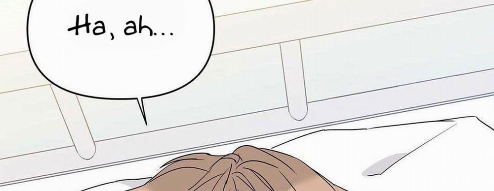 Guide Cấp B 8 trang 131