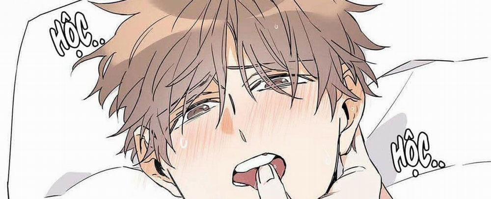 Guide Cấp B 8 trang 132