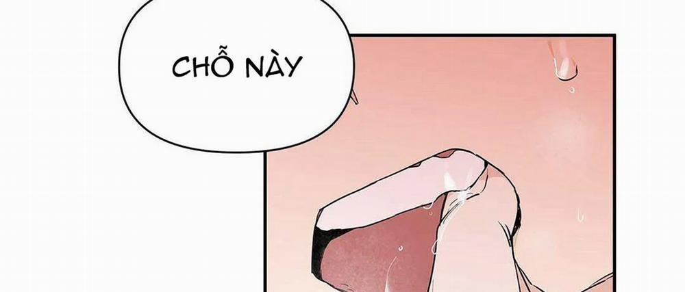 Guide Cấp B 8 trang 136