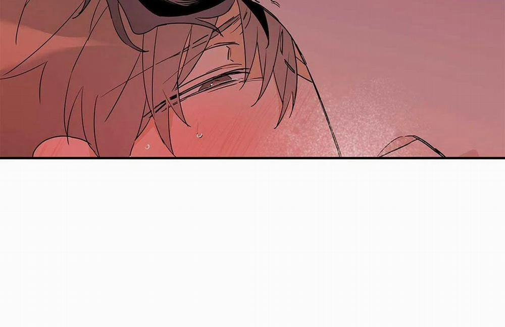 Guide Cấp B 8 trang 144