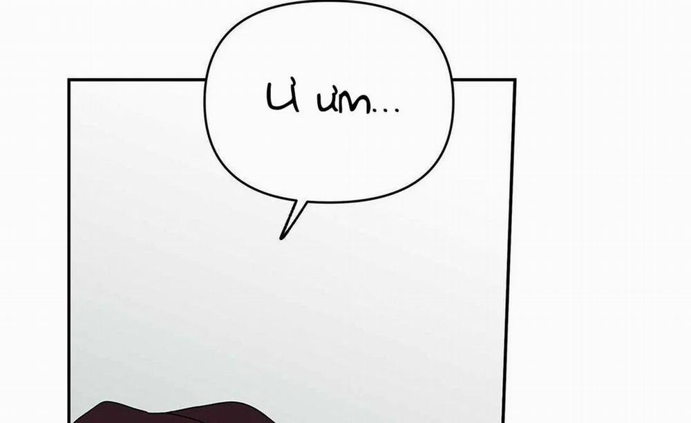 Guide Cấp B 8 trang 146