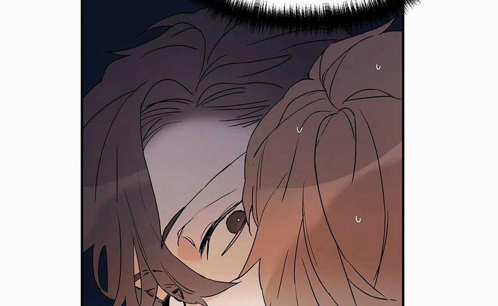 Guide Cấp B 8 trang 164