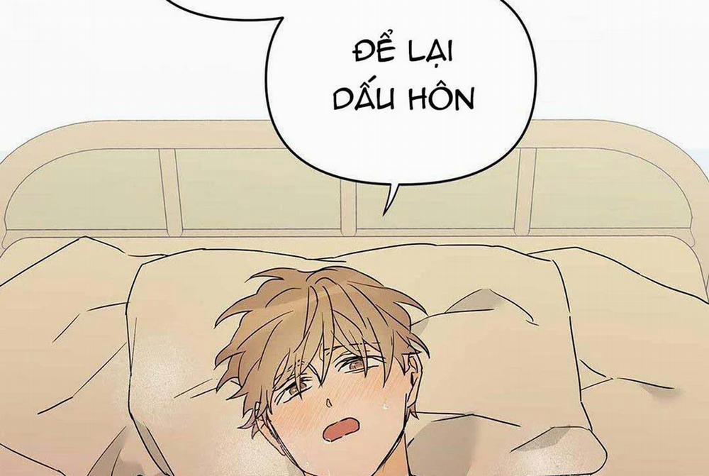 Guide Cấp B 8 trang 175