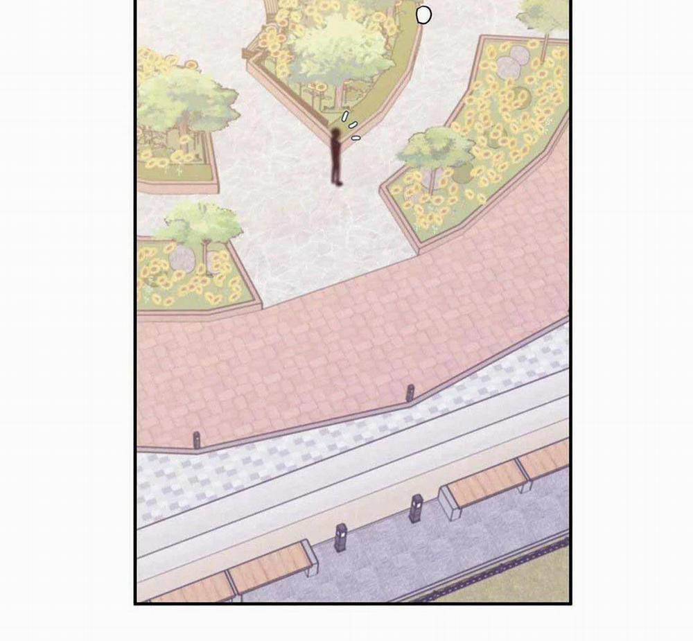 Guide Cấp B 8 trang 26