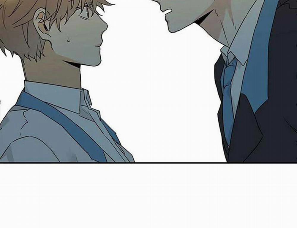 Guide Cấp B 8 trang 48