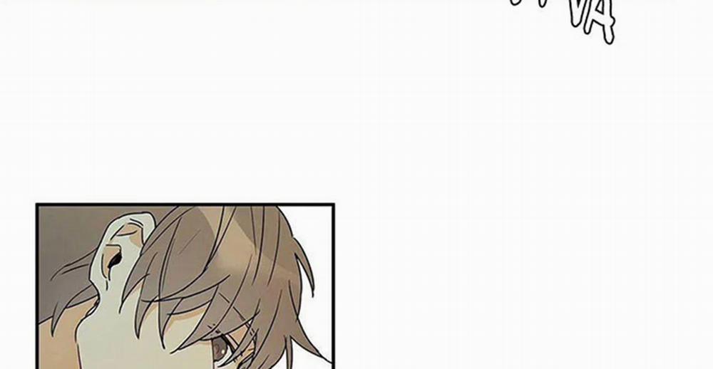 Guide Cấp B 8 trang 60