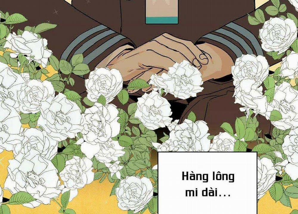 Guide Cấp B 8 trang 8