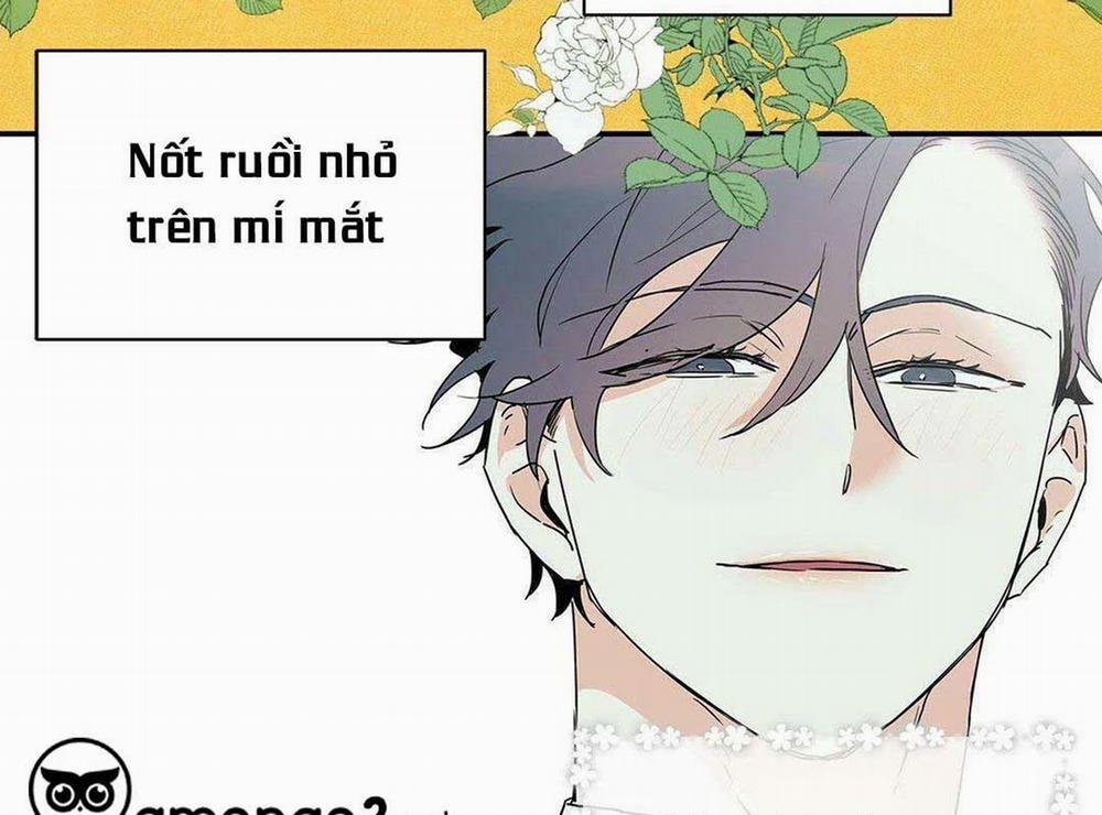 Guide Cấp B 8 trang 9