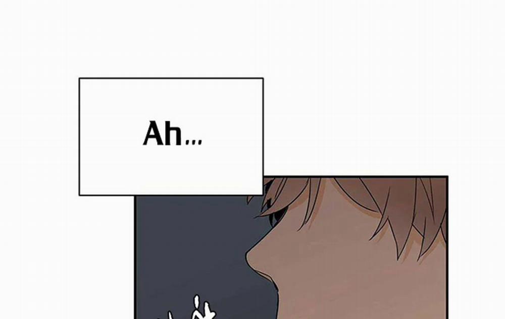 Guide Cấp B 8 trang 96