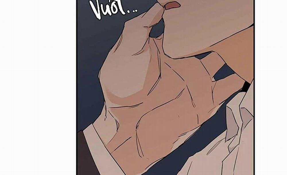 Guide Cấp B 8 trang 97