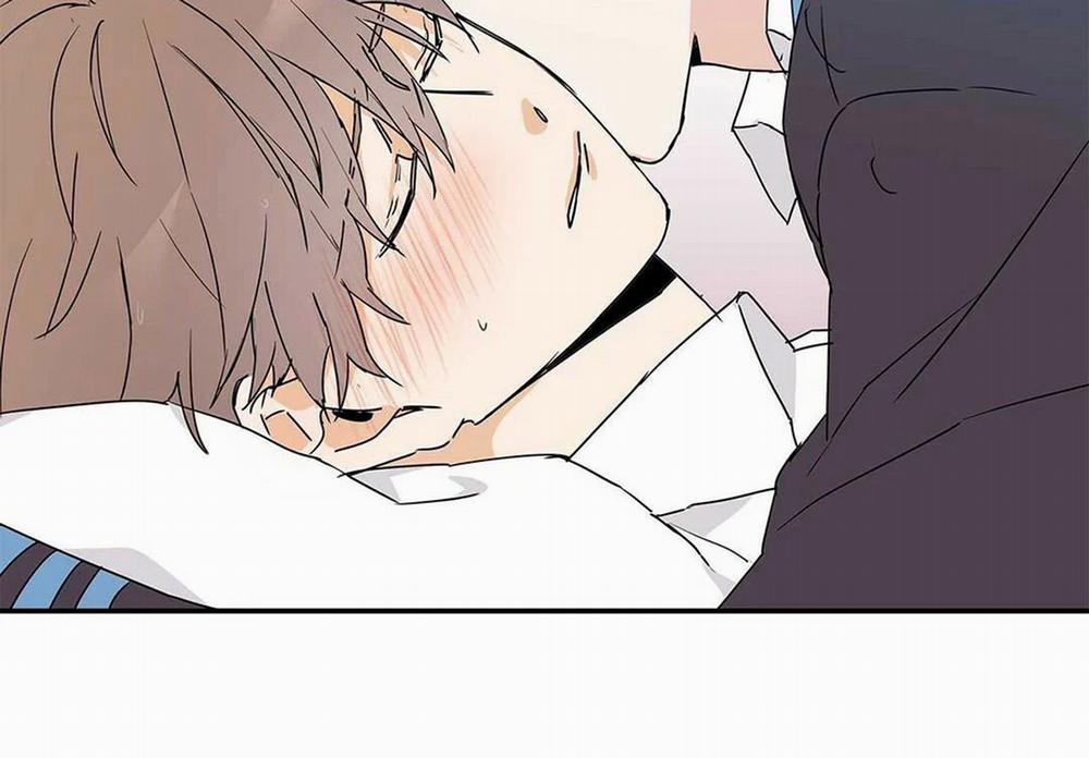 Guide Cấp B 9 trang 117