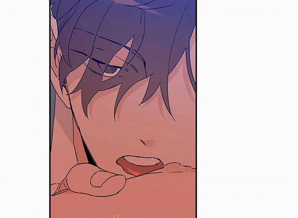 Guide Cấp B 9 trang 15