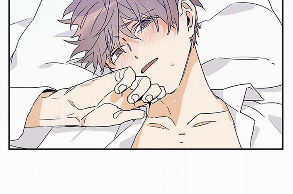 Guide Cấp B 9 trang 21