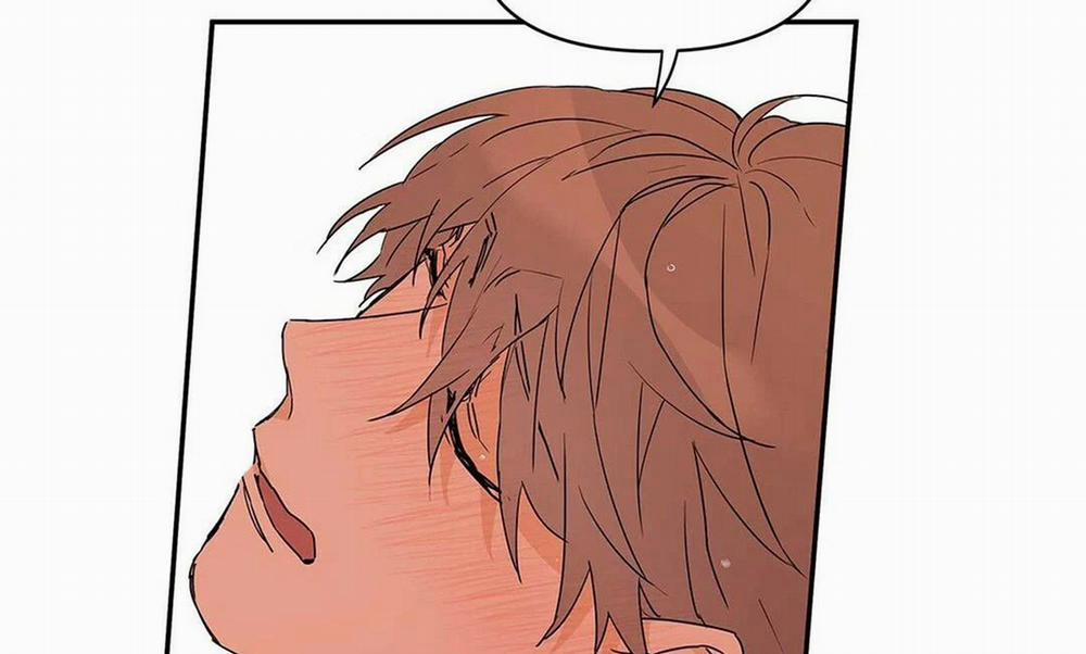 Guide Cấp B 9 trang 31