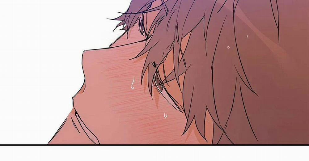 Guide Cấp B 9 trang 34