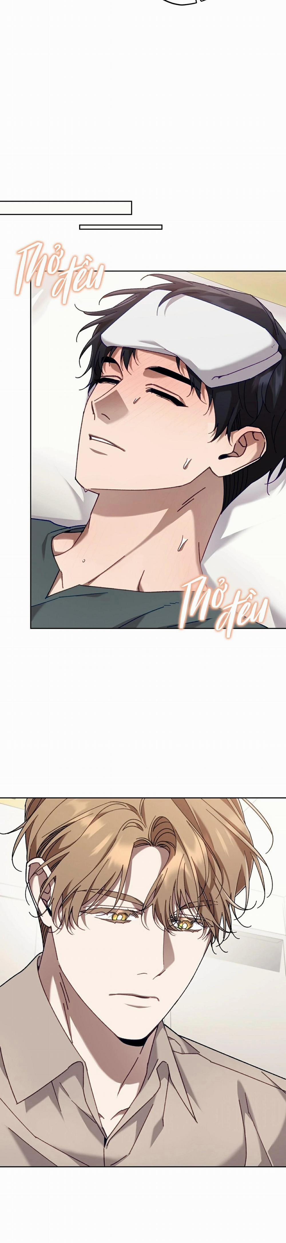 Guide Cấp S Phết Mật Ong 40 trang 20