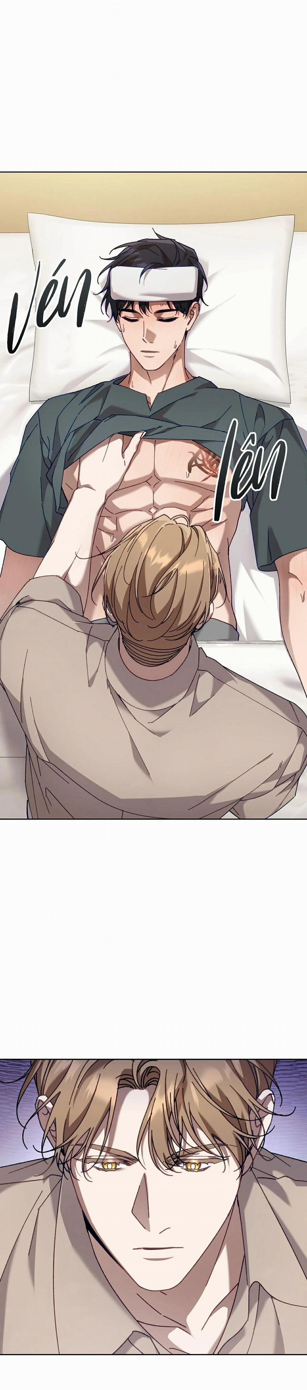 Guide Cấp S Phết Mật Ong 40 trang 23