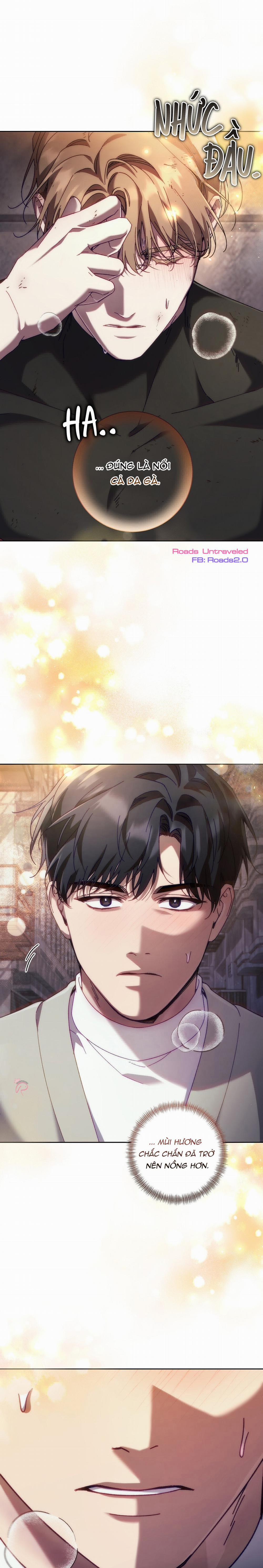 Guide Cấp S Phết Mật Ong 45 trang 11