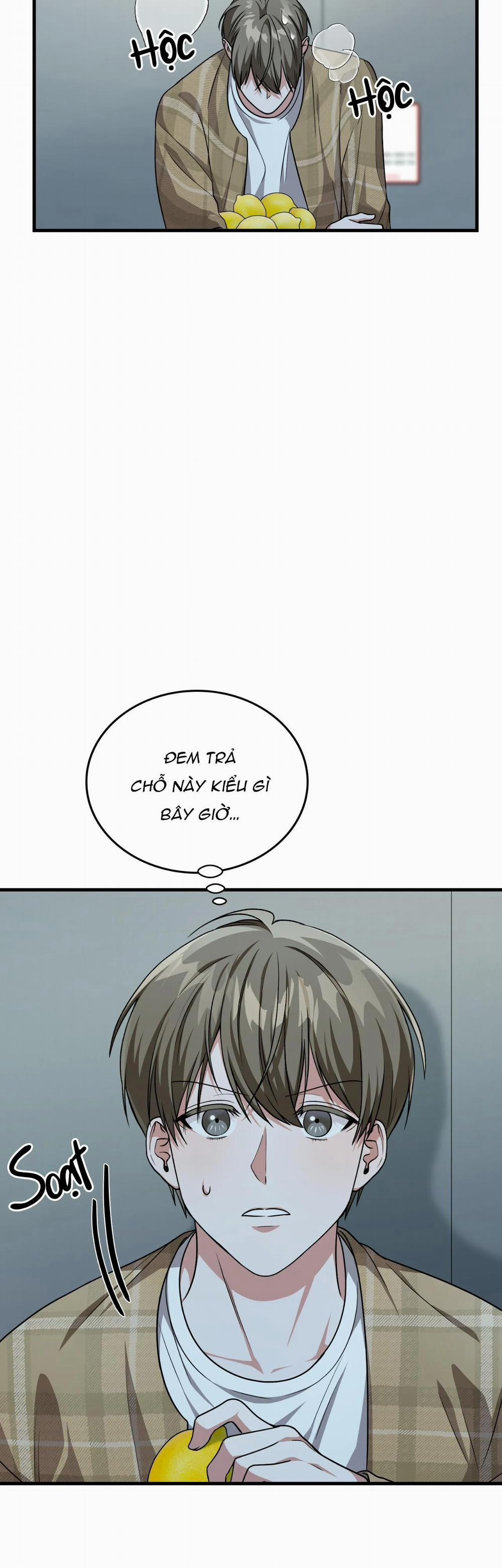 Guild Member 23 trang 12