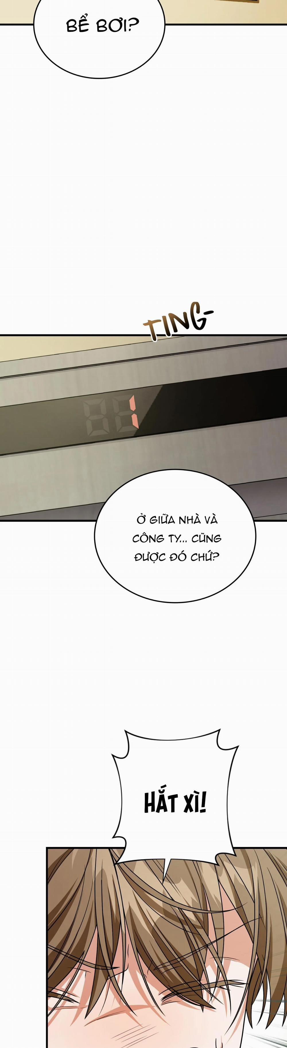 Guild Member 24 trang 21