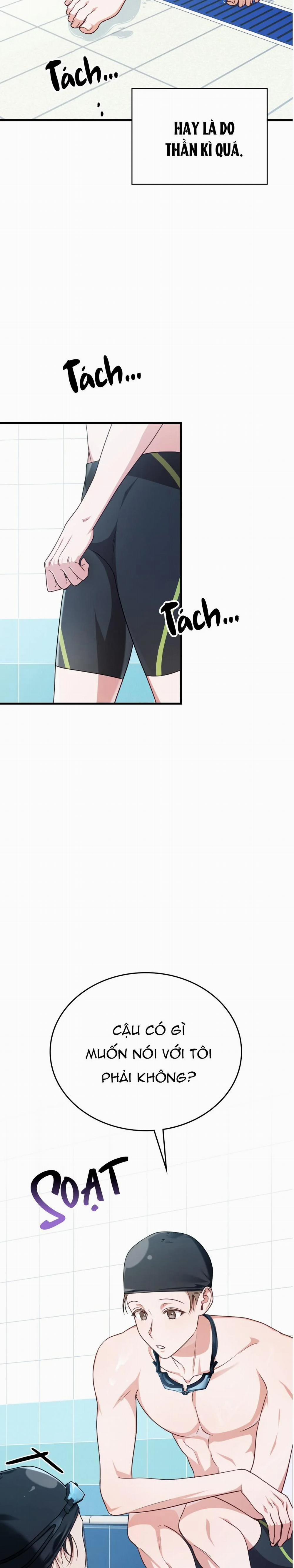 Guild Member 26 trang 17