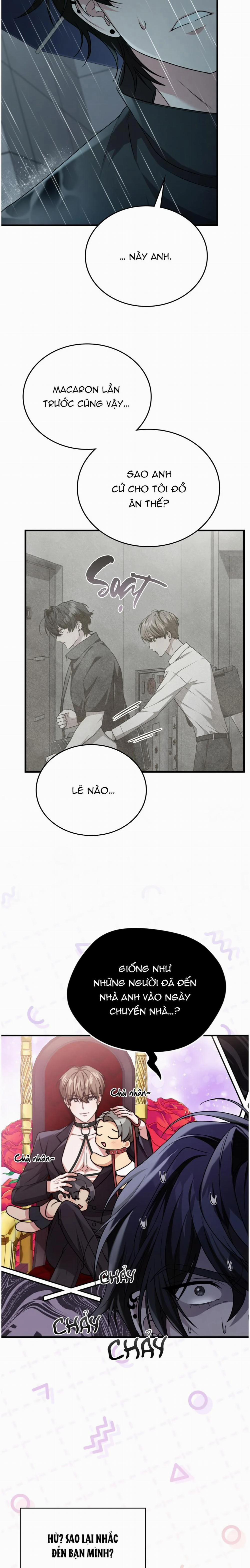 Guild Member 29 trang 19