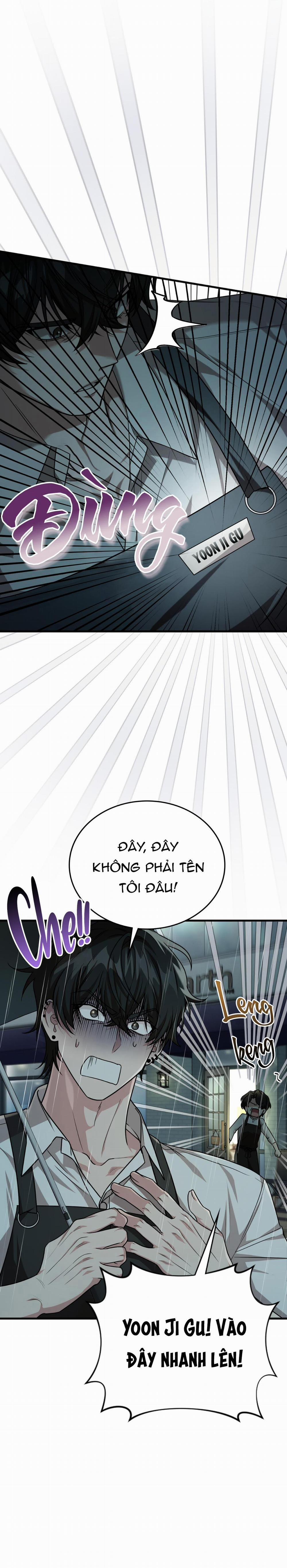 Guild Member 30 trang 11