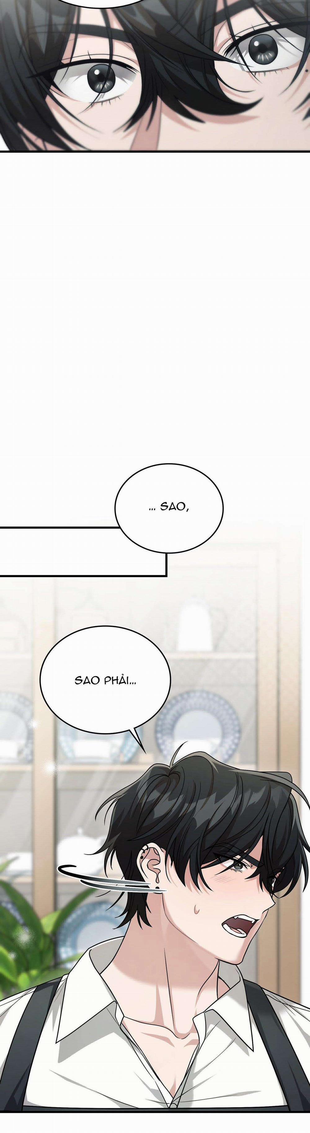 Guild Member 34 trang 17