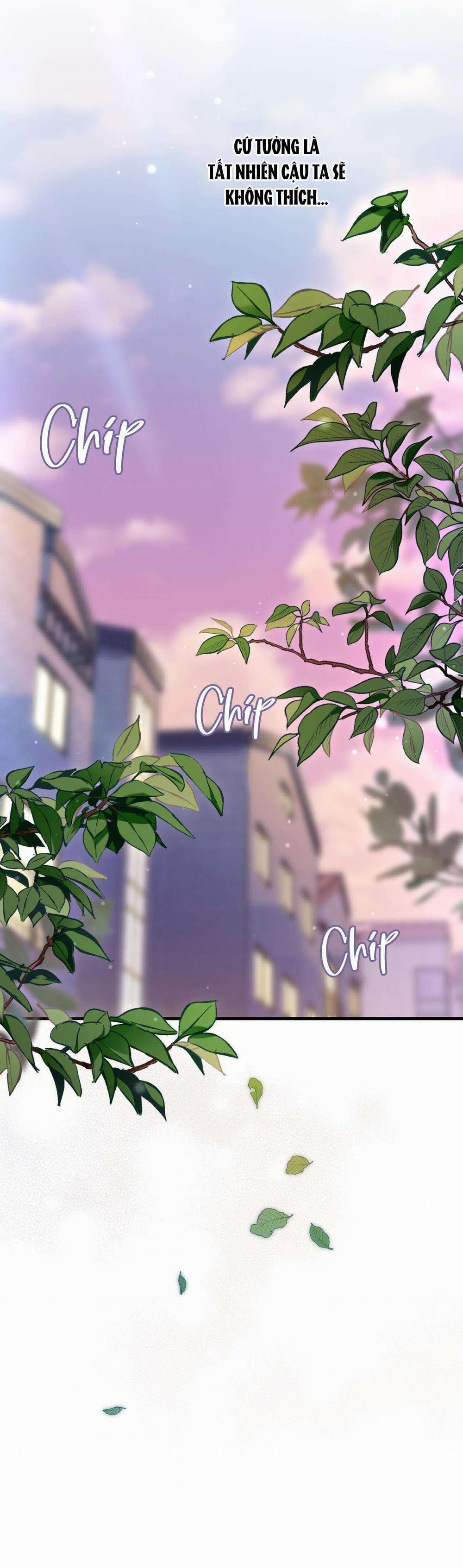 Guild Member 39 trang 27