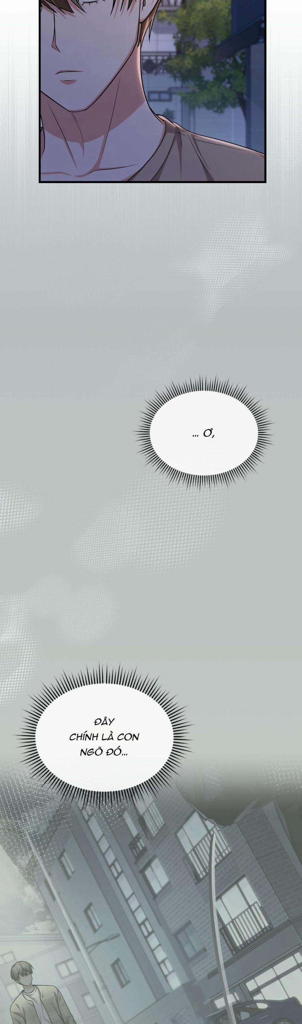 Guild Member 39 trang 29