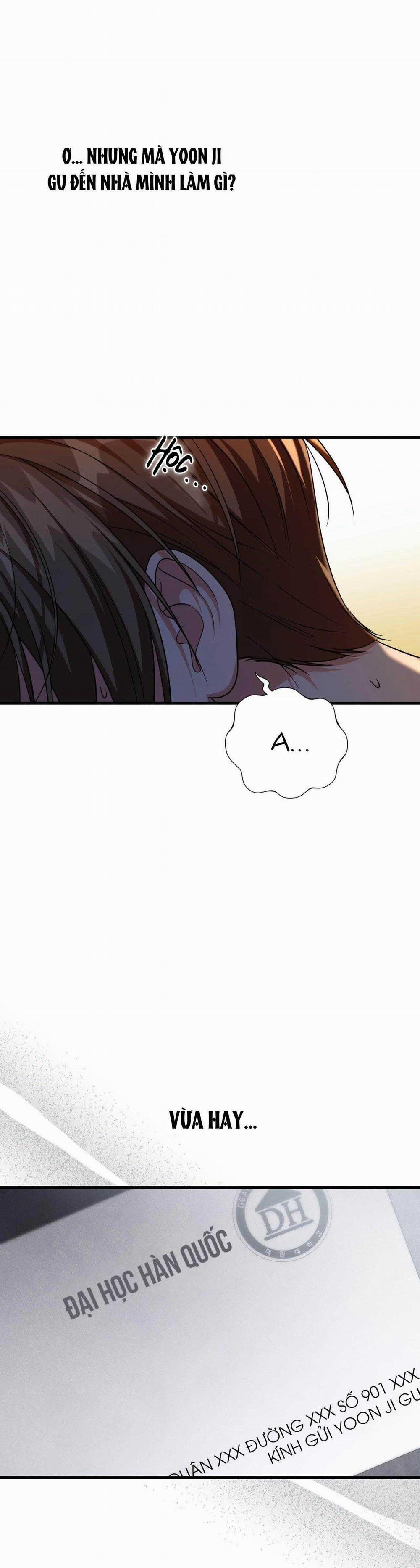 Guild Member 43 trang 25