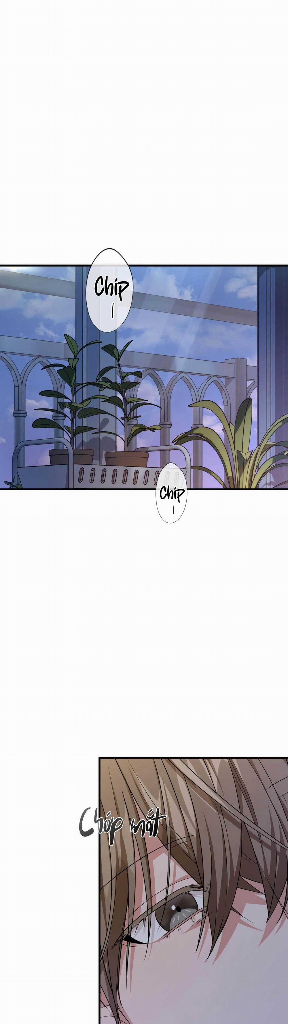 Guild Member 43 trang 32